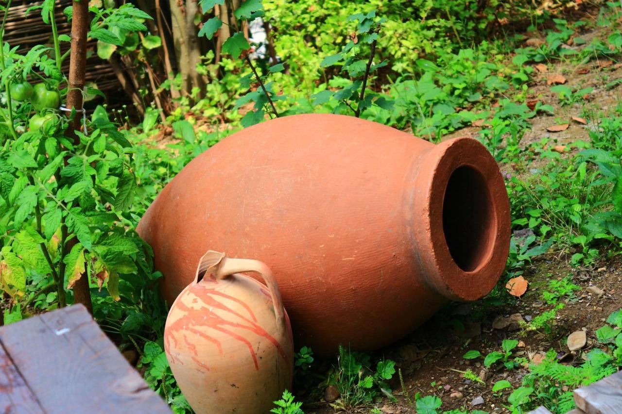 Sighnaghi Inn エクステリア 写真
